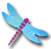 Turquoise Dragonfly